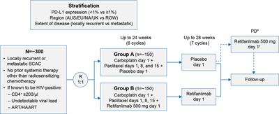 POD1UM-303/InterAACT 2: A phase III, global, randomized, double-blind study of retifanlimab or placebo plus carboplatin–paclitaxel in patients with locally advanced or metastatic squamous cell anal carcinoma